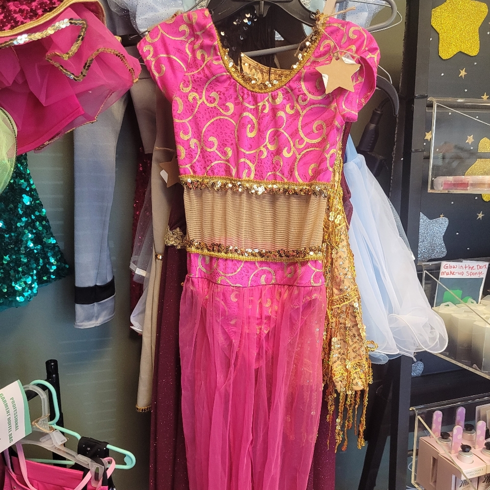 Jasmine style costume
